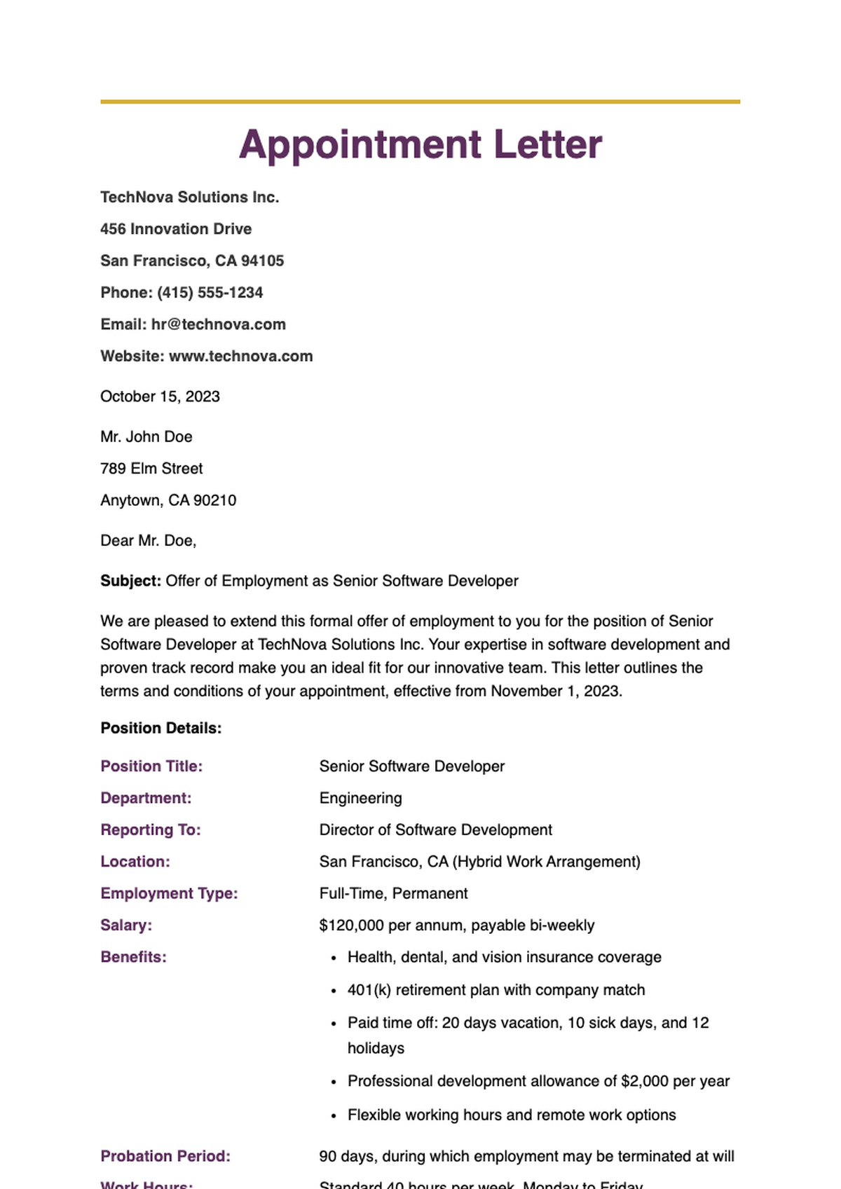 Private company job appointment letter for Marketing Manager position_variant_3